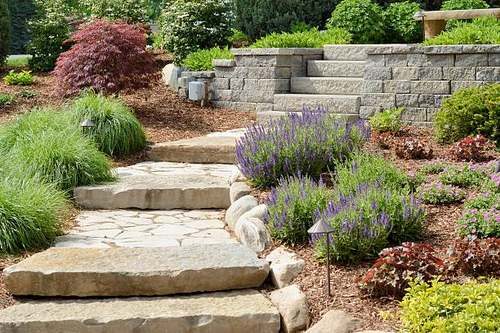 Landscape Designer Corfu Landscape-Designer-Corfu